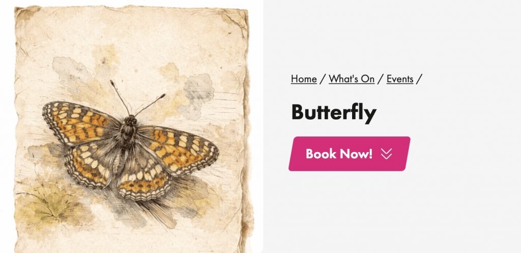 Butterfly