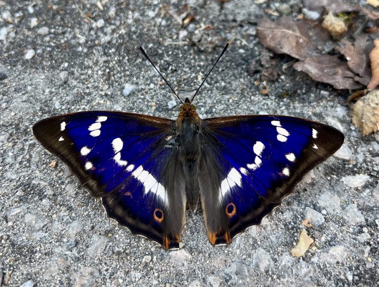 Words that changed everything