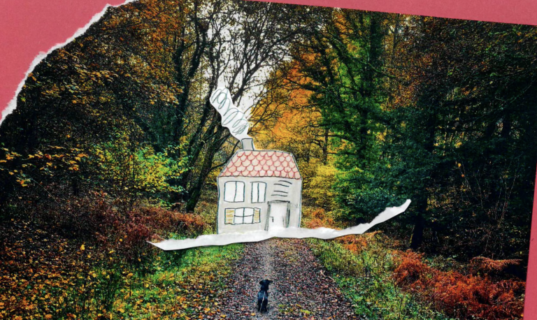 What home means to me